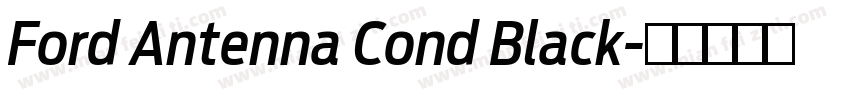 Ford Antenna Cond Black字体转换